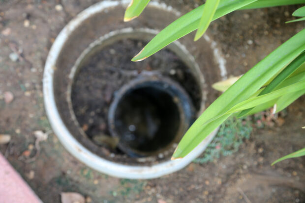 Prepping Your Septic Systems for the Summer